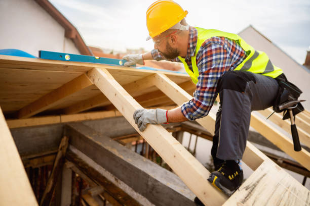 Best Roof Gutter Cleaning  in Thomaston, GA